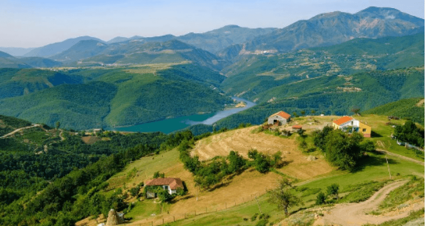 Në malet shqiptare BBC gjeti bimët e shumëkërkuara mjekësore 
