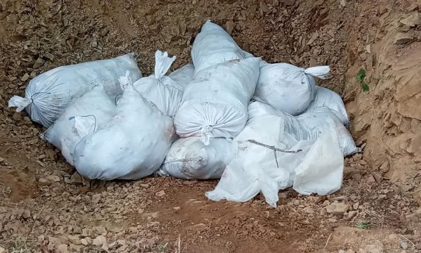 Shteti ua asgjëson pulat disa fermerëve në Kosovë, AVUK dhe ministria tregojnë arsyen