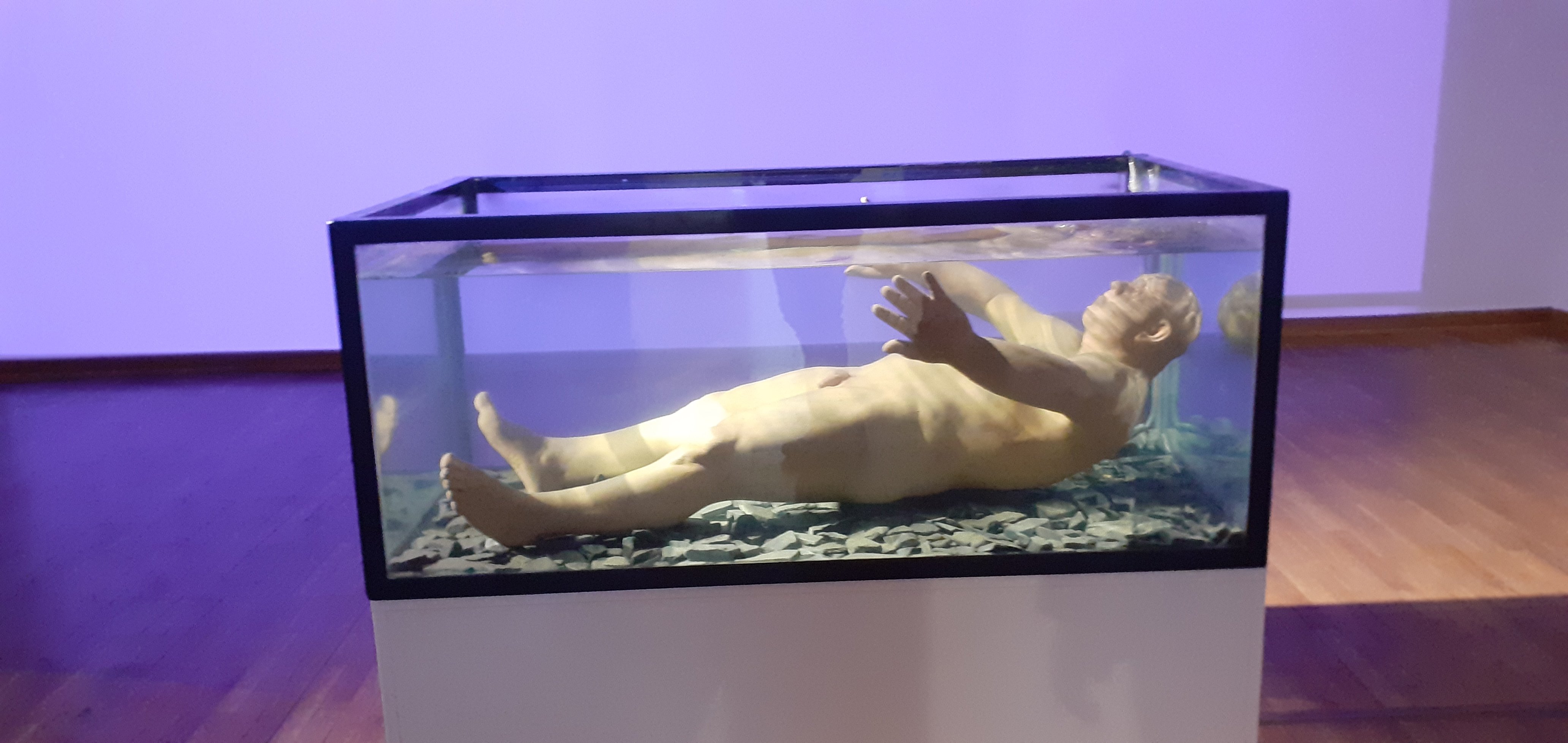 Vështrim për skulpturat e artistit Zharko Basheski