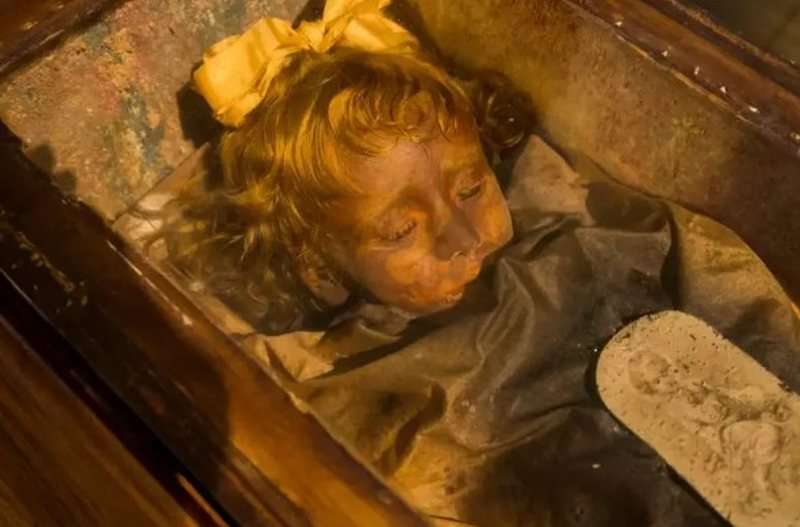 102 vite e balsamosur, vajza “hap e mbyll sytë”? Zbulohet misteri