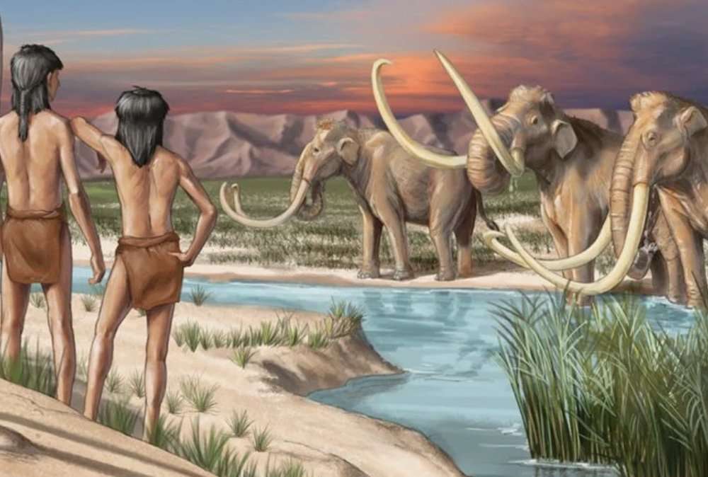Gjërat e reja që mësuam rreth evolucionit njerëzor gjatë vitit 2021