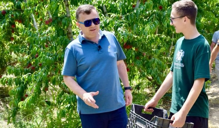 Balla në fermën me pjeshkë në Lushnje: Krijimi i pikave të grumbullimit është një nga lehtësirat më të mëdha për fermerët
