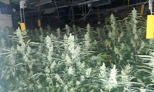 ​Droga e konfiskuar në veri kap vlerën 6 milionë euro