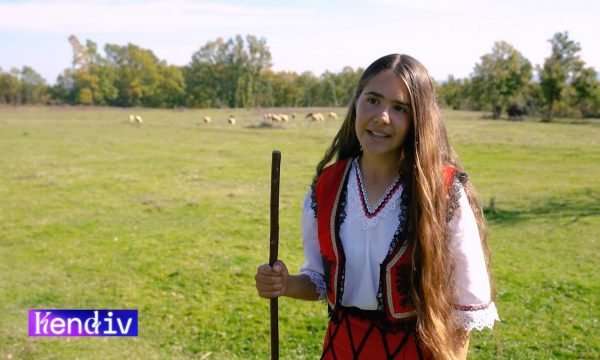 Po njihet si “Baresha e Deçanit”, 13-vjeçarja mahnit me zërin e saj dhe dashurinë që ka për delet
