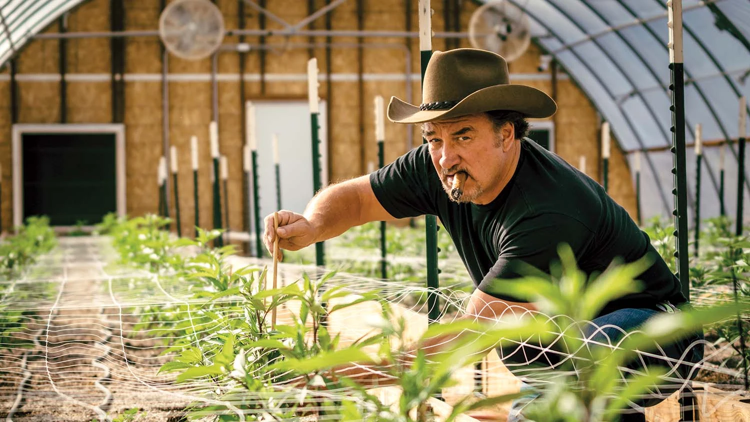 Jim Belushi përuron fermën e tij të kanabisit