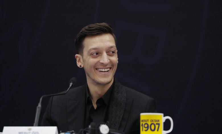 Mesut Ozil, nis karrierën politike