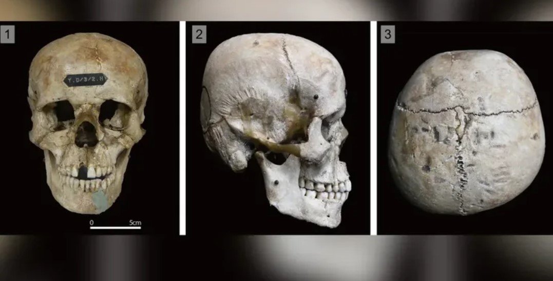 Misteri i kafkave të modifikuara të njeriut në Japoninë e lashtë, çfarë thonë studiuesit