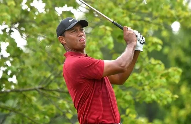 Woods rikthehet në fushë