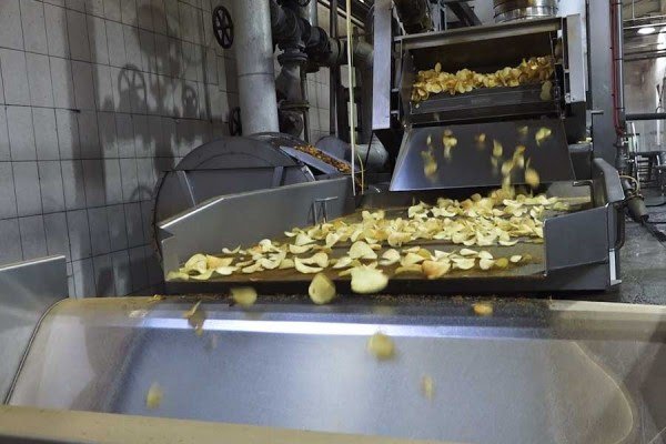 ​“Vipa Chips” zgjeroi tregun, Kasumi: Rritëm eksportin, por duhet rishikuar taksat