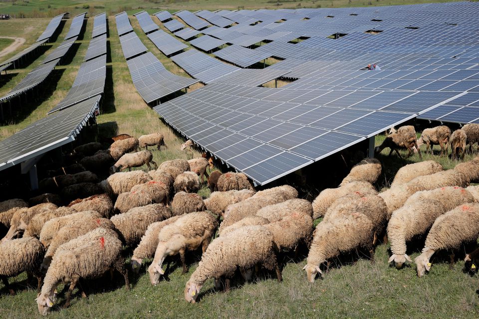 Reuters shkruan për fermën solare të Kamenicës