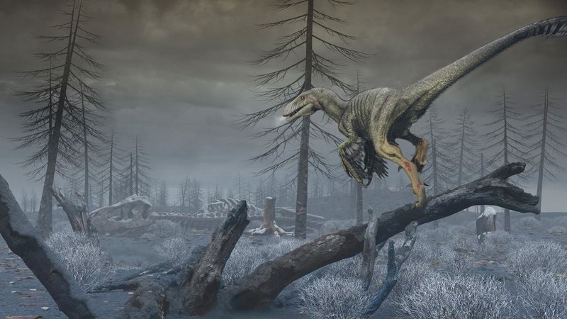 Asteroidi që zhduku dinozaurët, shkencëtarët bëjnë zbulimet e frikshme: Ndaloi fotosintezën, uli temperaturat me 15 gradë