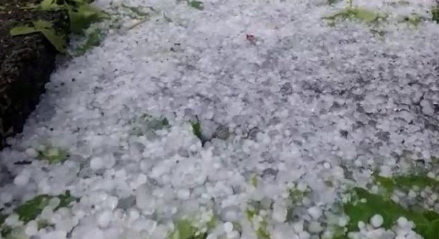 Maliq, breshëri shkatërron prodhimet bujqësore
