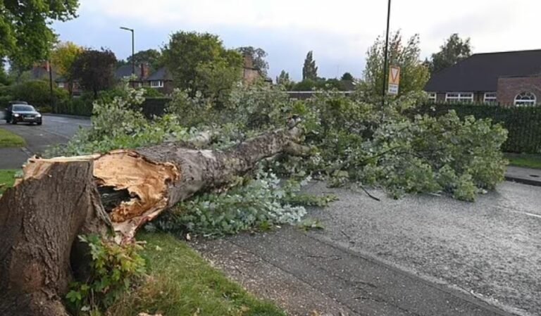 ‘Çmendet’ moti në Mbretërinë e Bashkuar, Met Office ndez alarmin “rrezik për jetën”