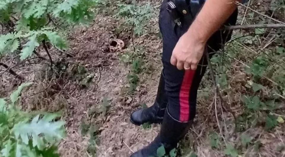 Po kërkonte për tartuf, 43-vjeçari shqiptar gjen kafkë njeriu në pyll