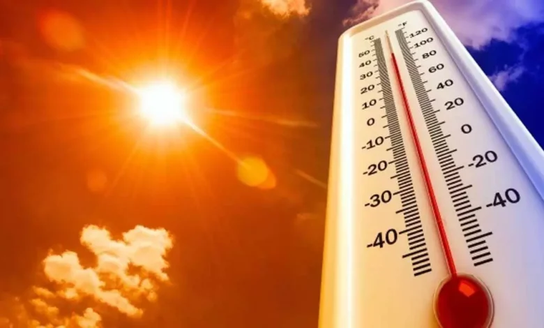 Të mërkurën kulmi i nxehtësisë, a duhet të shpallet gjendje emergjente? Flet Mendim Rugova