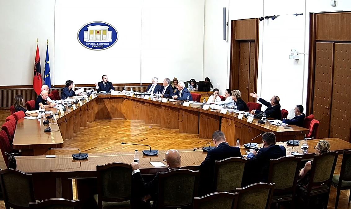 Mazhoranca dhe opozita të ndarë për TIMS-in, dy raporte në Kuvend për hetimin parlamentar