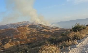 Zjarr i madh përfshin malin e Shashicës, përfshihet nga flakët hapësira pyjore, rrezikohen bagëtitë