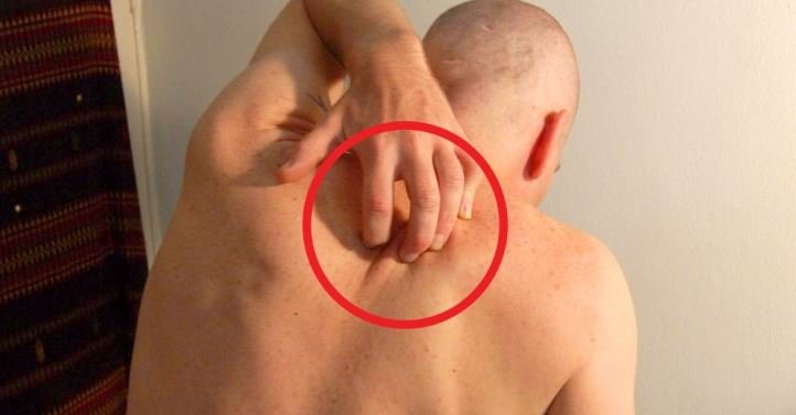 Stresi i tepruar: këto janë sinjalet që na dërgon trupi dhe që kurrë nuk duhen nënvlerësuar