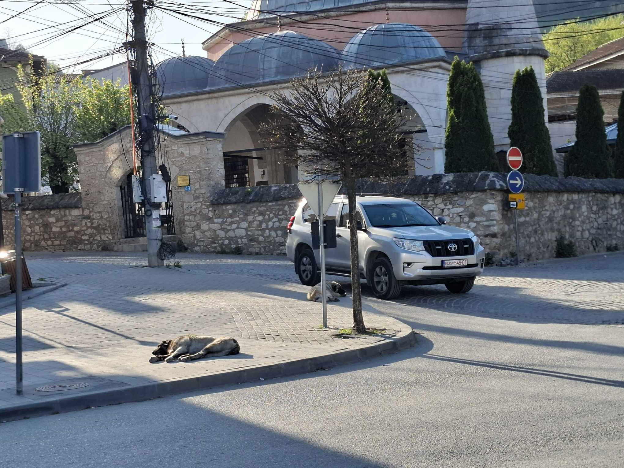 Vrasja e rreshterit Lika, kërkohet paraburgim ndaj të miturit
