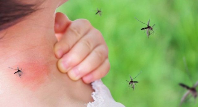 Virusi i Nilit, 10 viktima vetëm në Itali
