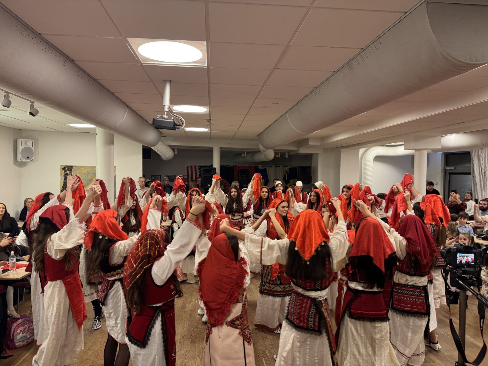 Festë madhështore në Engelholm – SHKSH “Shën nënë Tereza” shënon 28 nëntorin me emocione, valle e krenari kombëtare