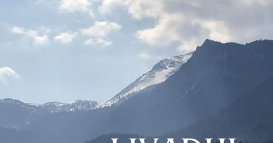 Të livadhi i Adilit 