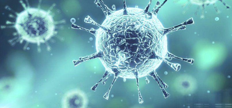 Shtëpia e Bardhë në faqen e saj të internetit: COVID-19 e ka origjinën nga laboratori në Kinë