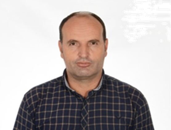 Kosova në recesion apo krizë demografike