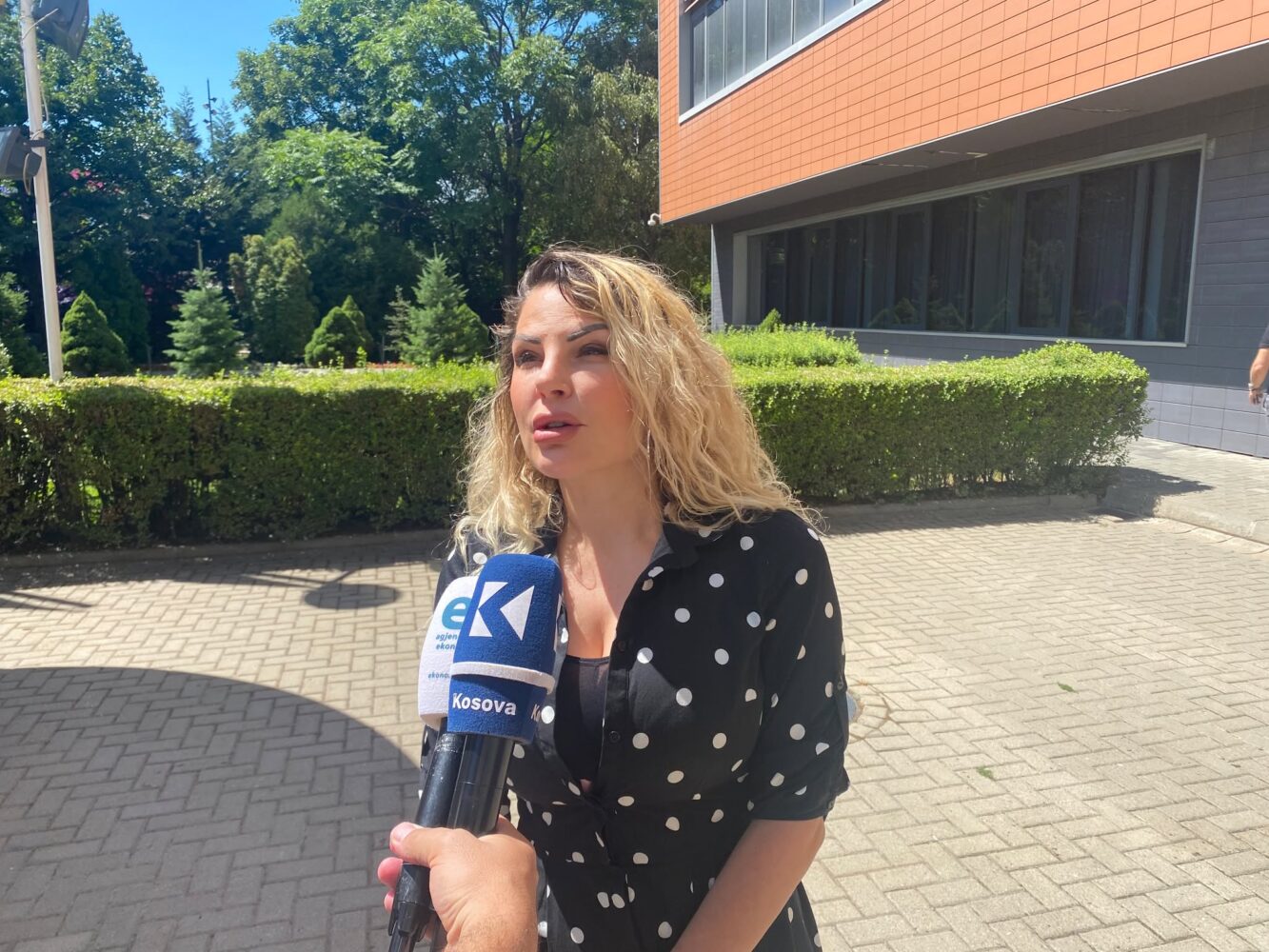 Balje: Nuk besoj që Albin Kurti do t’ia japë postin e kryeparlamentarit Fatmir Limajt