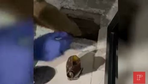  Qëlloi me automatik për të kërcënuar të vëllain pasi i dhunoi vajzën, arrestohet 61-vjeçari me precedentë