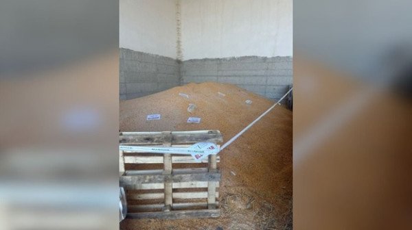 ​Bllokohen 25 ton misër nga Serbia në Shkodër