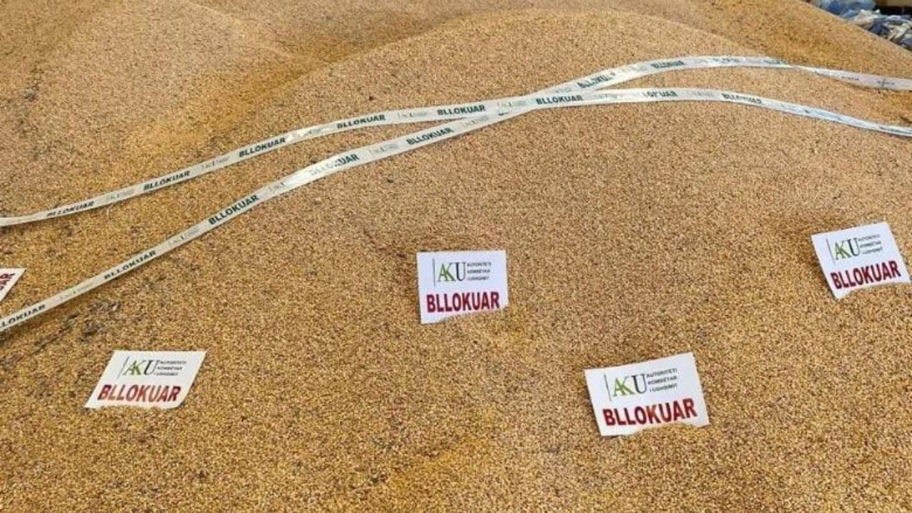Ndodh sërish, AKU bllokon edhe 75 tonë të tjera misër në Shkodër, do të kryhen analizat laboratorike