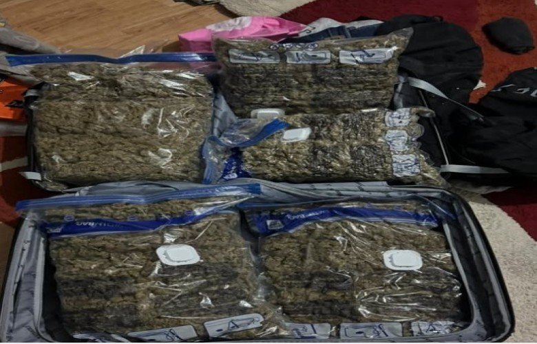 Iu gjetën 5 kg marihuanë, kërkohet paraburgimi i të dyshuarit në Gjakovë