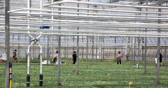 “Bllokimi” i bujqësisë dhe prova e madhe e Shqipërisë për fondet europiane