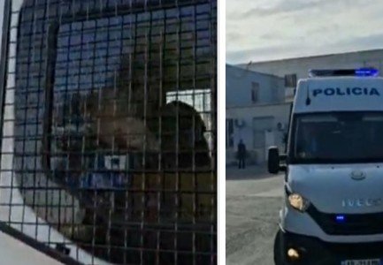 Do marrë pjesë në seancën në ‘Kushtetuese’, Erion Veliaj lë burgun, nën masa të rrepta sigurie niset drejt Tiranës