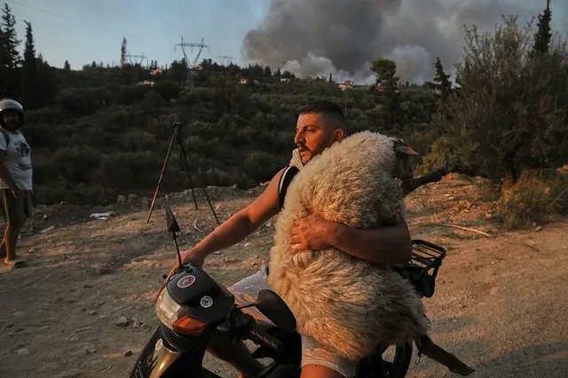 Shqiptari riktheu imazhin e “Bariut të Mirë”, një ndër 12 fotot më ikonike të vitit