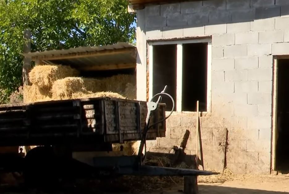 Fermerja Bytyqi rrit suksesin në blegtori