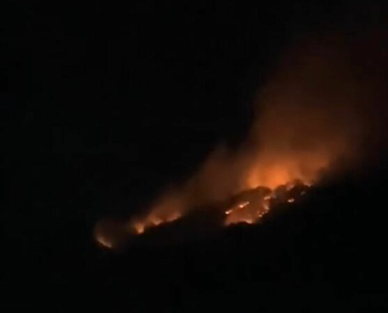 Flakë në malin e Koshnicës në Gramsh, ndërhyrja e zjarrfikësve e pamundur për shkak të terrenit të vështirë