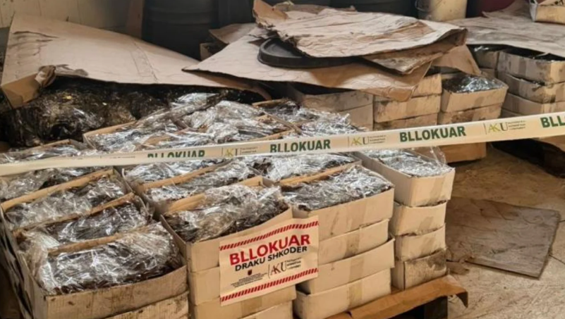 Babë e bir kanosën dy persona, policia i zbuloi biznesin me mbi 110 ton fruta-perime në Shkodër