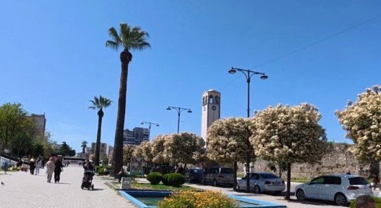 Shtrenjtohet kastraveci, përgjysmohet prodhimi në serat e Lushnjës, fermerët: Faji i pesticideve, s’ka cilësi