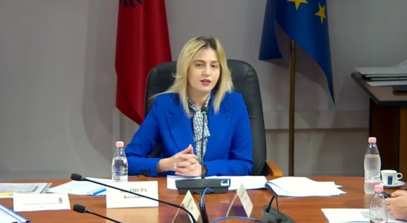 Samiti i Diasporës; Zhupa: U kthye në samit propagande elektorale, pa qasje shtetërore po me sllogane partiake.