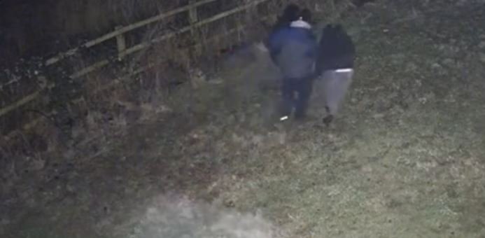 Momenti kur banda shqiptare që kreu 44 grabitje rrëmben kasafortën me para