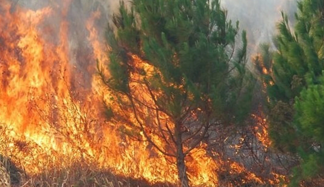Zjarr në deponinë në Pçinja të Kumanovës, autoritetet në terren