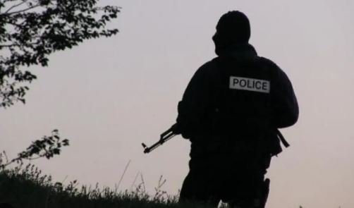 Kaluan ilegalisht kufirin, arrestohen dy serbë në Leposaviq