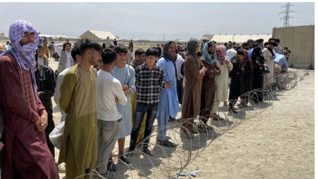 Ndihmuan forcat amerikane gjatë luftës në Afganistan, SHBA-ja planifikon zhvendosjen e mbi një mijë afganëve në Kongo