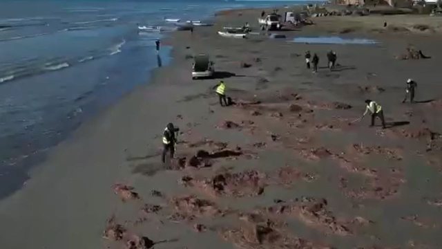 Fushatë e madhe pastrimi në bregdet/ Nisma shtrihet nga Vlorë në Sarandë e Fier për sezonin turistik