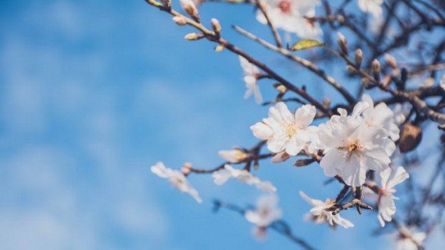 Temperatura deri ne 28 gradë, njihuni me parashikimin e motit për sot