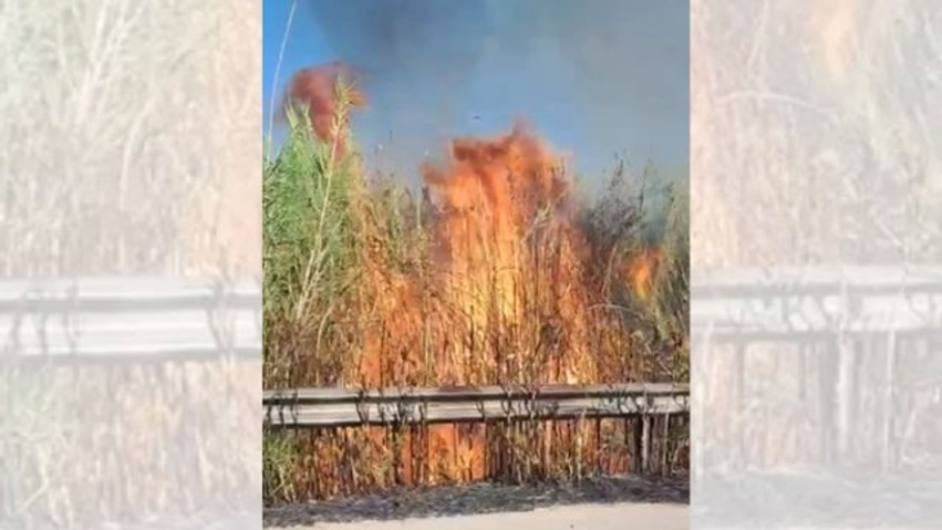 Zjarr në Novoselë të Vlorës  temperaturat e larta dhe era e fortë favorizojnë përhapjen e zjarrit në ullishte