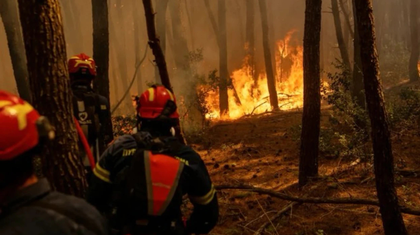 Zjarret masive përfshijnë Uashingtonin  mijëra zjarrfikës në terren