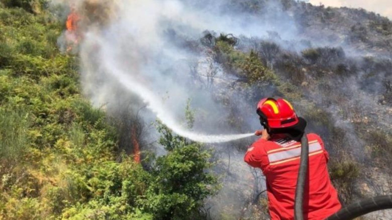 Temperaturat ekstreme, IGJEO: Ja zonat më të rrezikuara për zjarre në vend